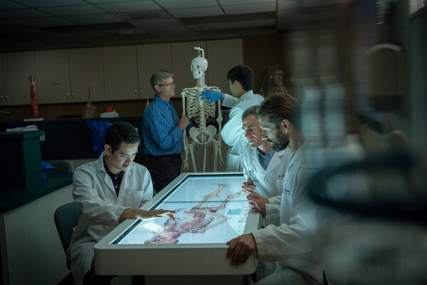 Students examining a skeleton