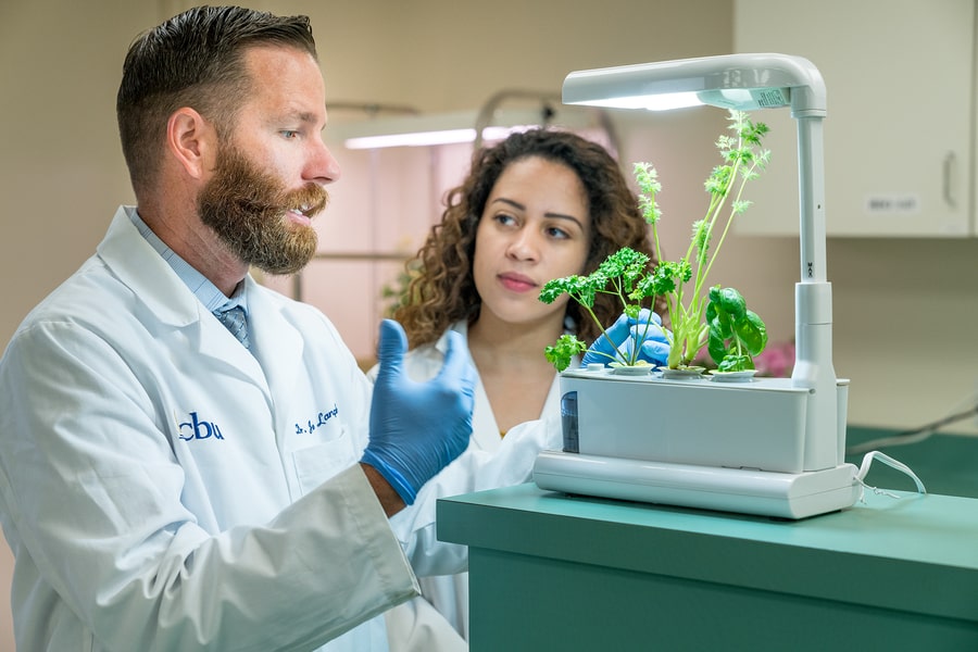 CBU professor and student examining a plant in a lab