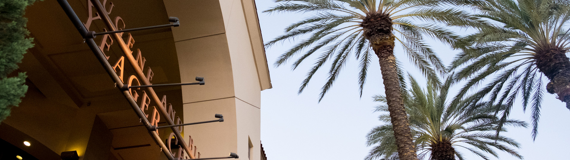 Yaeger Center and Palm Trees