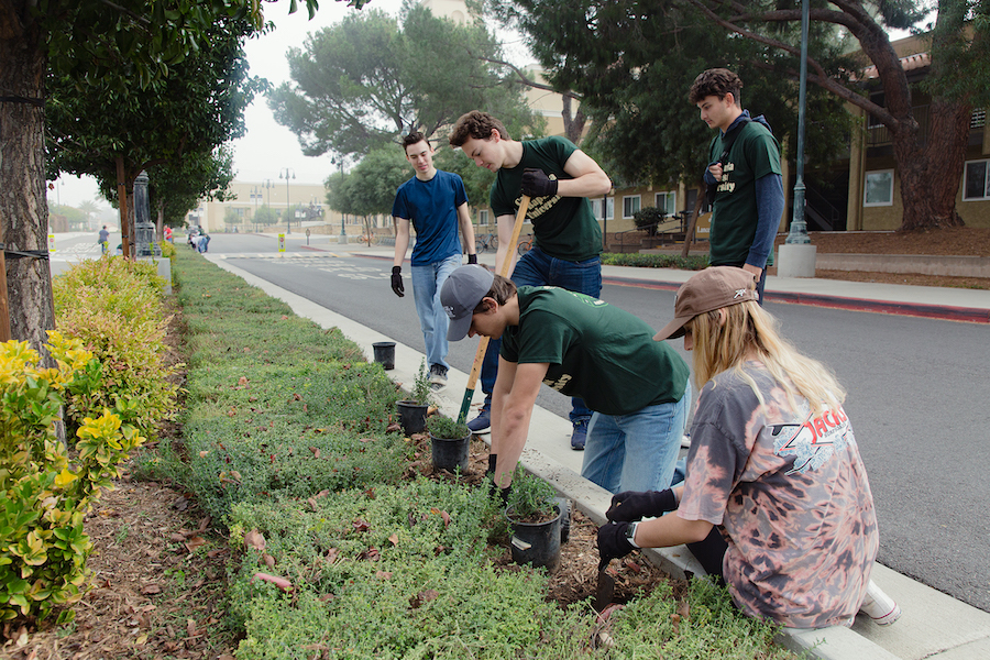 students digging in dirt