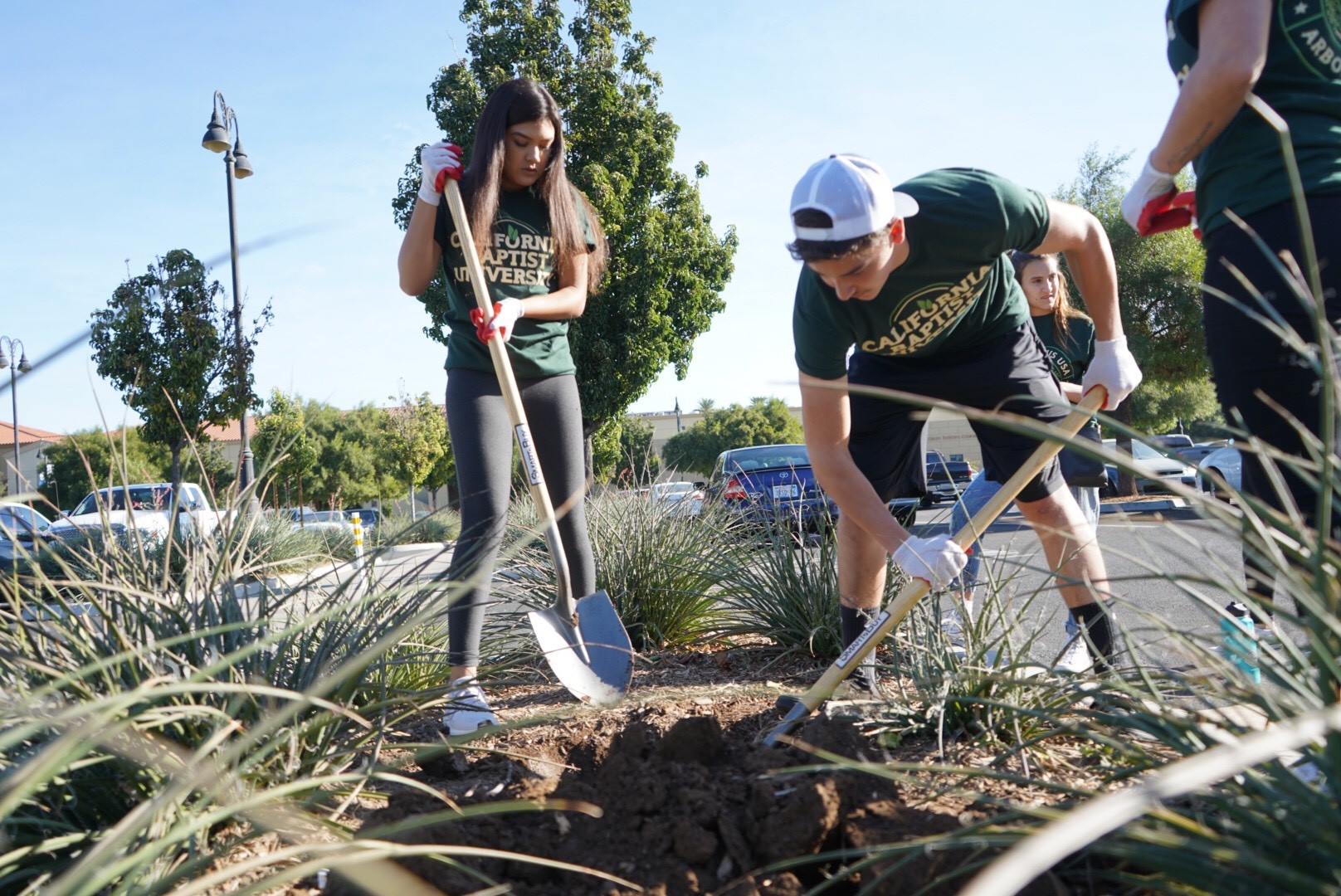 Hundreds of volunteers work to keep CBU green on Fall Arbor Day 