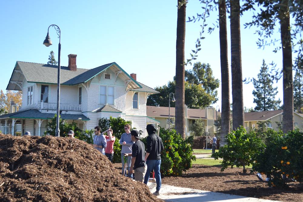 Seventy-five students, faculty and staff at California Baptist                       University observed Autumn Arbor Day with a campus service project on Dec. 3.