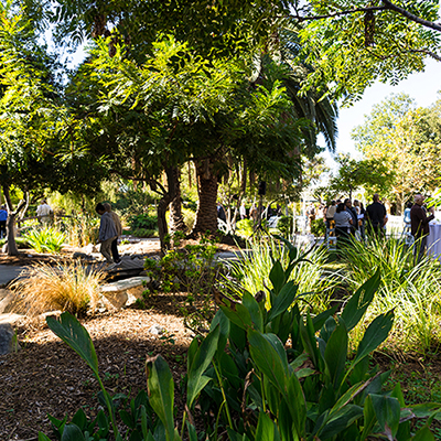 gardens