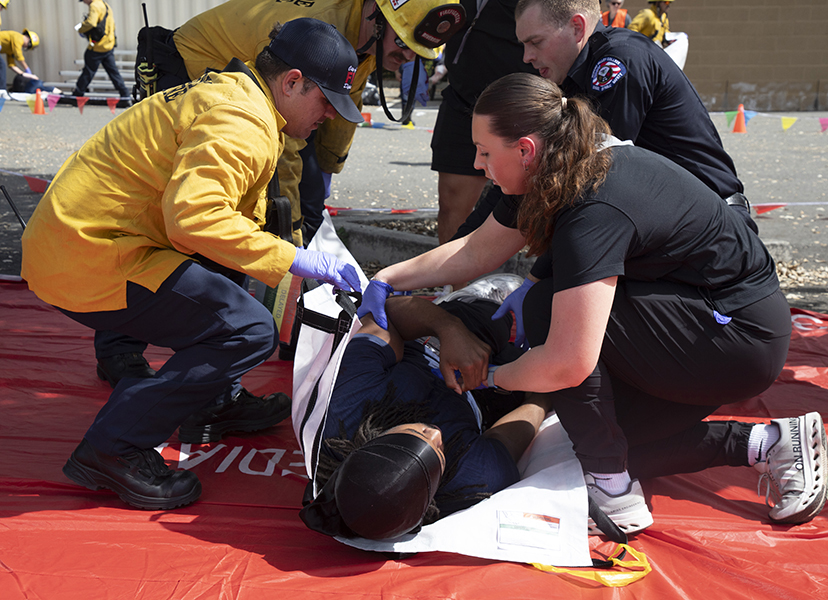 IPE Simulation Participants