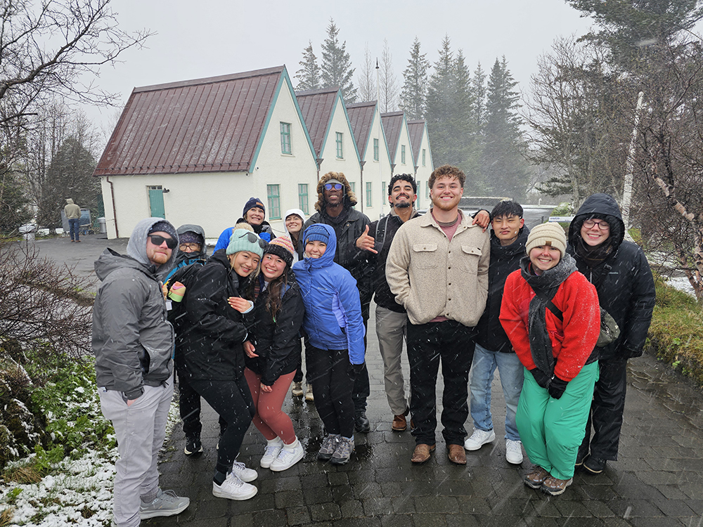 group in Iceland