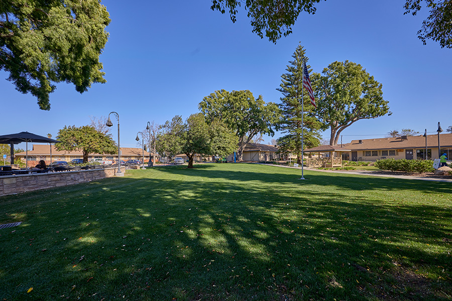 Tower Hall Park