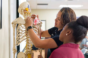 A CBU professor showing a student the neck area of a model human skeleton