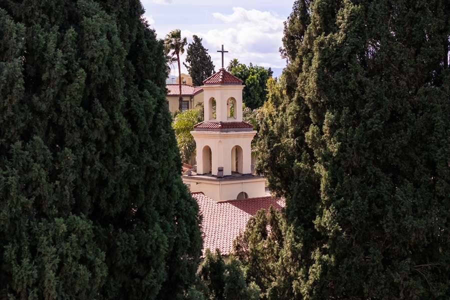 CBU belltower between trees