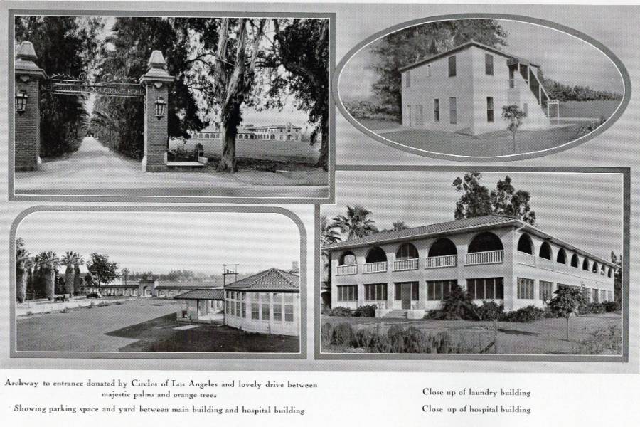 Annie Gabriel library 1960s