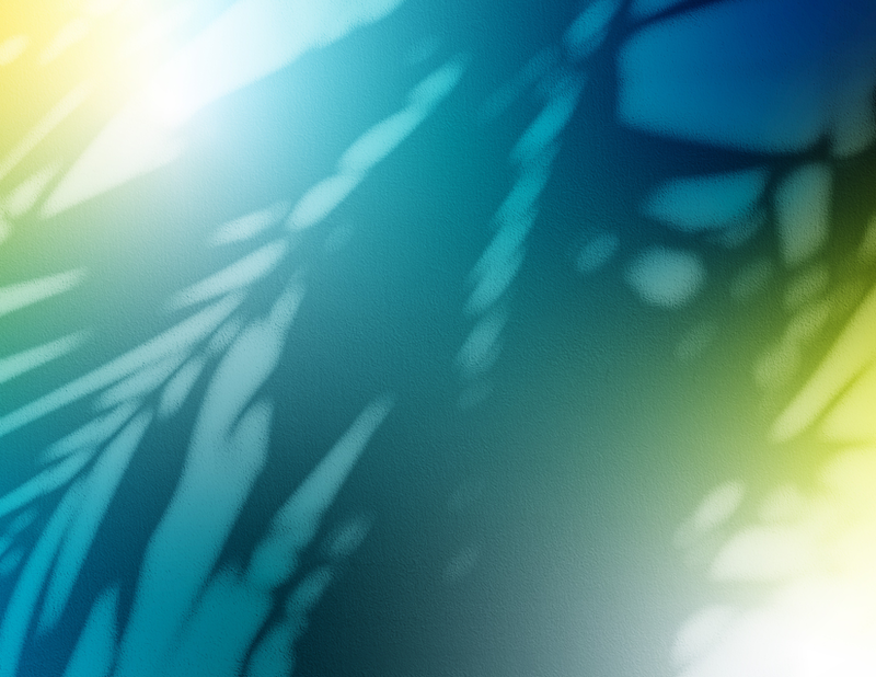 Palms 1